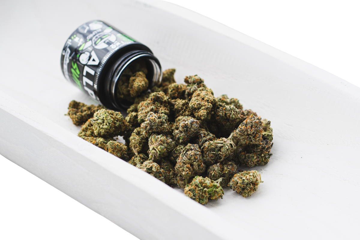 ALLPRO Cannabis premium flower jar with buds