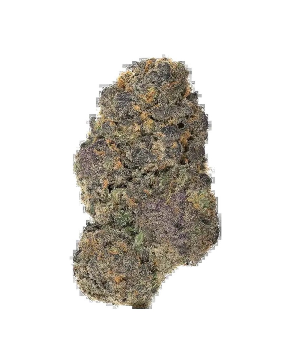 Blue Ritz #22