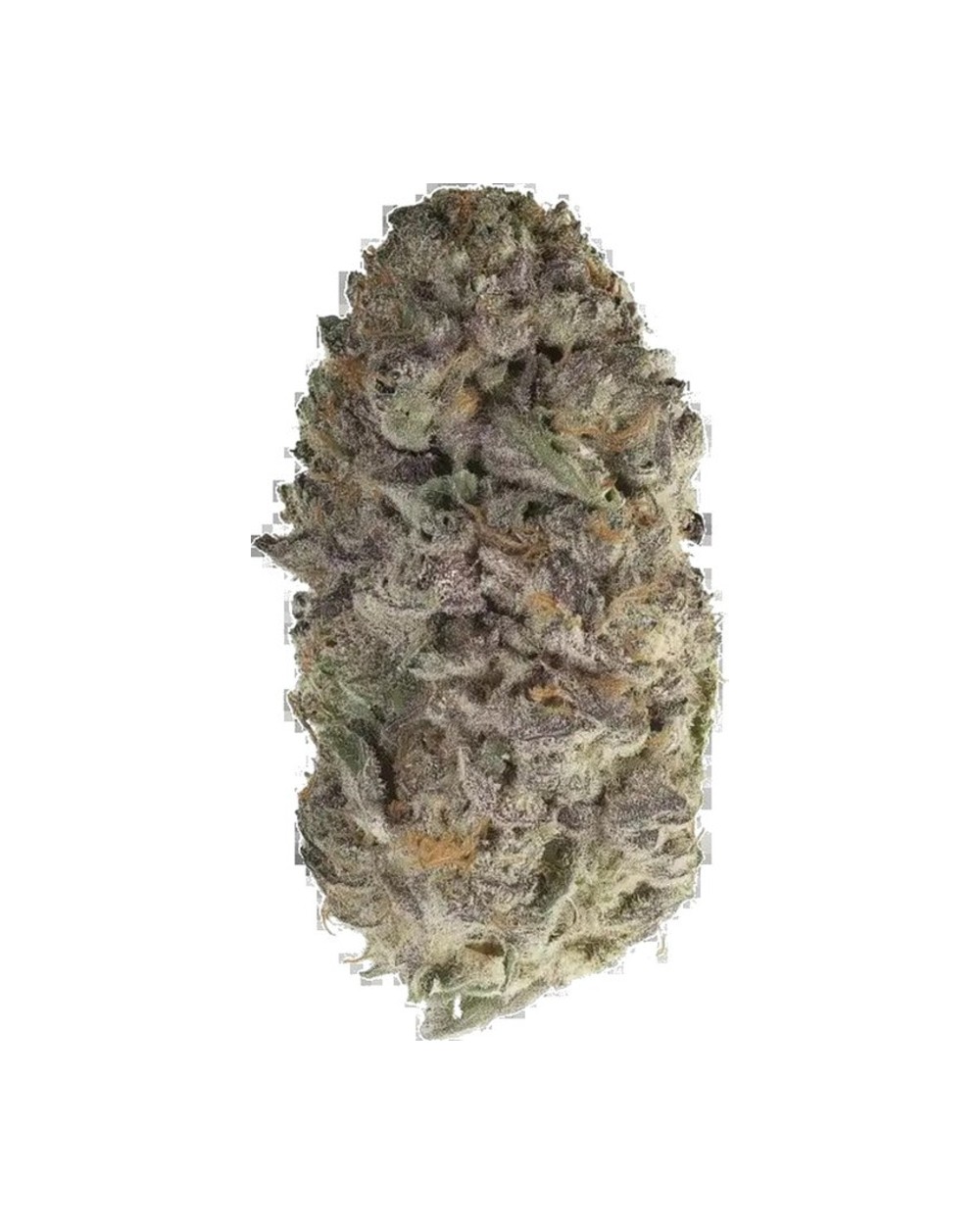 Blueberry Bang Bang