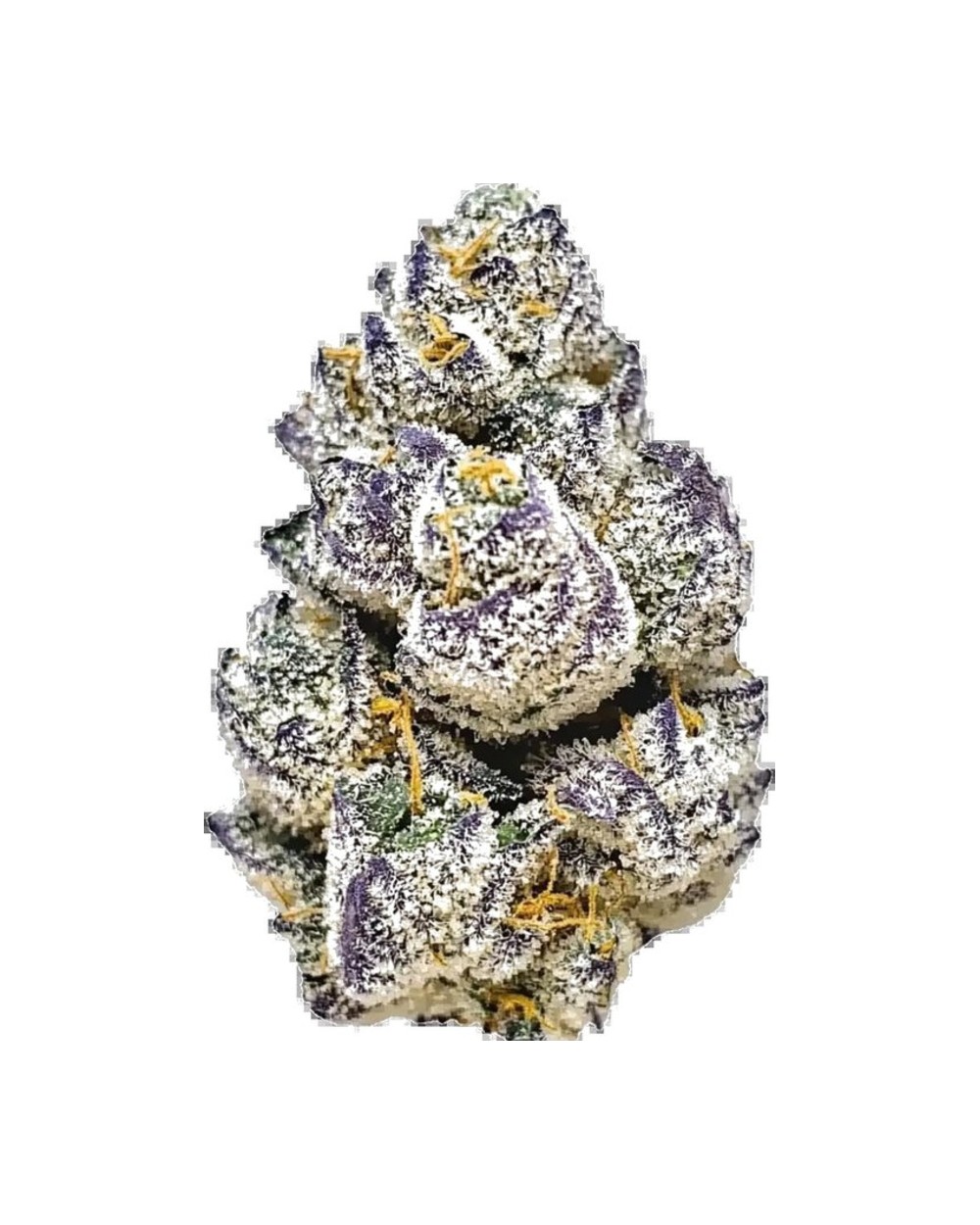 Violet Fog